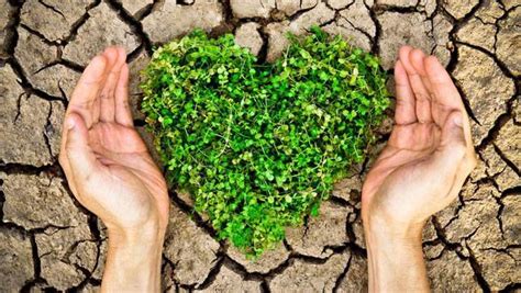 ecco – environmental charity.